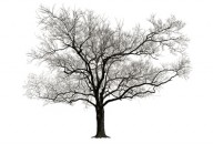 ADEP Designer Blogs
